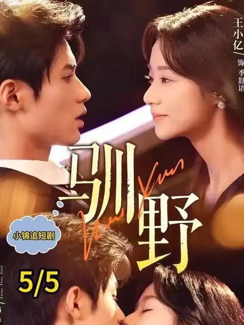 大院里的秋天 家庭年代剧高清免费看